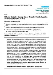 Effect of Oxidative Damage Due to Excessive