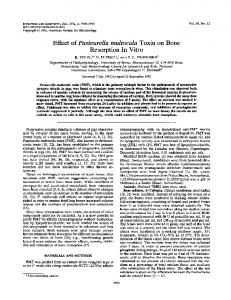 Effect of Pasteurella multocida Toxin on Bone Resorption In Vitro