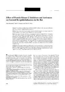 Effect of Protein Kinase C Inhibitors and Activators on