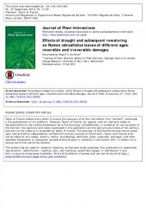 Effects of drought and subsequent rewatering on