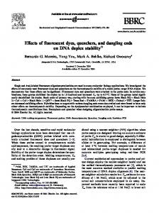 Effects of fluorescent dyes, quenchers, and dangling