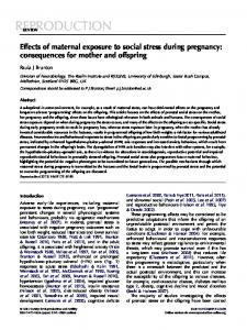 Effects of maternal exposure to social stress during pregnancy ...