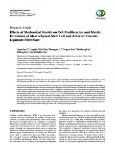 Effects of Mechanical Stretch on Cell Proliferation and Matrix ...
