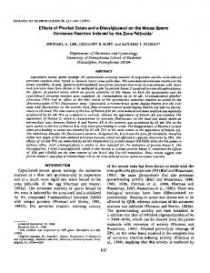 Effects of Phorbol Esters and a Diacyiglycerol on the ... - CiteSeerX