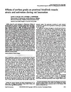 Effects of surface grade on proximal hindlimb muscle strain and ...