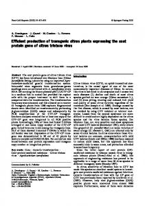Efficient production of transgenic citrus plants ... - Springer Link