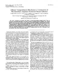 Efficient Transposition in Mycobacteria - Journal of Bacteriology