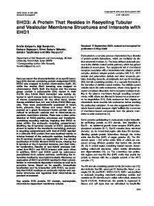 EHD3: A Protein That Resides in Recycling ... - Wiley Online Library