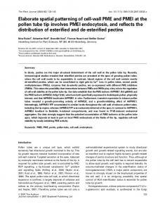 Elaborate spatial patterning of cell-wall PME ... - Wiley Online Library