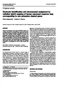 Electronic identification and chromosomal assignment ... - Springer Link