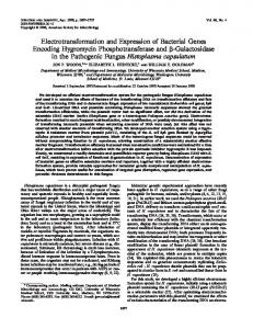 Electrotransformation and Expression of Bacterial Genes Encoding ...