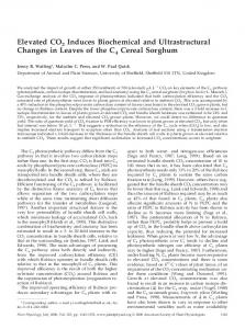 Elevated CO2 Induces Biochemical and ... - Plant Physiology