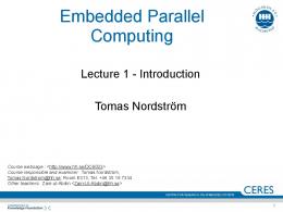 Embedded Parallel Computing