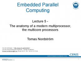 Embedded Parallel Computing