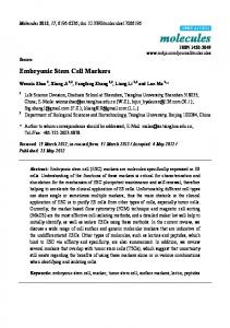 Embryonic Stem Cell Markers - MDPI