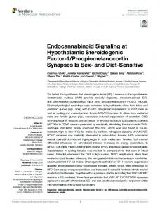 Endocannabinoid Signaling at Hypothalamic ...