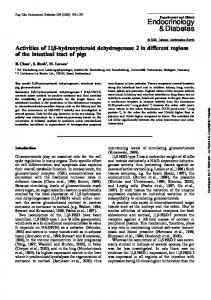 Endocrinology & Diabetes