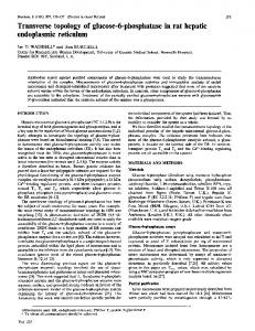 endoplasmic reticulum - Europe PMC