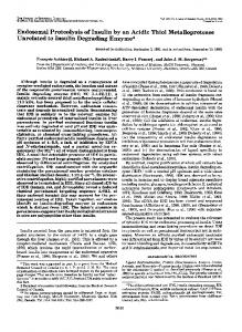 Endosomal Proteolysis of Insulin by an Acidic Thiol Metalloprotease ...