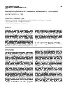 Endothelial cell - Journal of Cell Science - The Company of Biologists