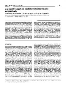 endothelial cells - NCBI