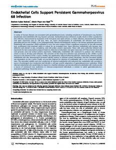 Endothelial Cells Support Persistent