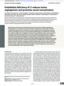 Endothelial deficiency of L1 reduces tumor ...