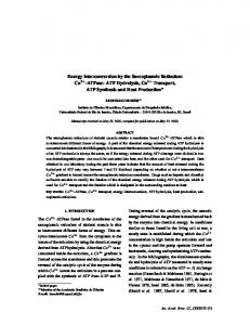 Energy Interconversion by the Sarcoplasmic Reticulum Ca2+-ATPase