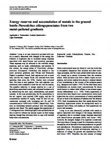 Energy reserves and accumulation of metals in the ground ... - Core