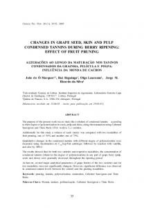 English (pdf) - Scielo Portugal