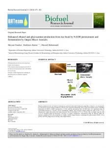 Enhanced ethanol and glucosamine production from rice husk by