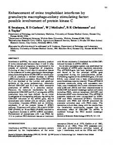 Enhancement of ovine trophoblast interferon by granulocyte ...