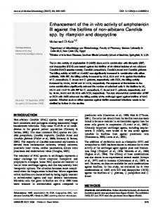 Enhancement of the in vitro activity of amphotericin B ... - CiteSeerX