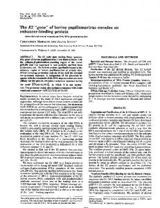 enhancer-binding protein - PNAS