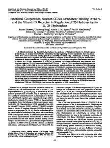 Enhancer-Binding Proteins