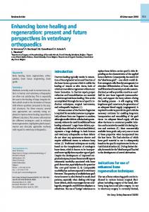 Enhancing bone healing and regeneration - Semantic Scholar