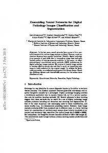 Ensembling Neural Networks for Digital Pathology Images ...