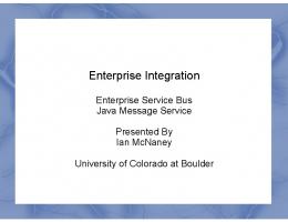 Enterprise Integration by Ian McNaney