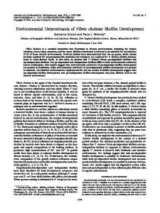 Environmental Determinants of Vibrio cholerae Biofilm Development