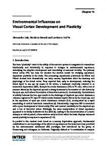 Environmental Influences on Visual Cortex ... - InTechOpen