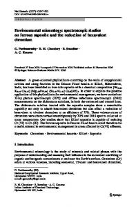 Environmental mineralogy: spectroscopic studies on ... - Springer Link