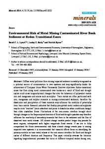 Environmental Risk of Metal Mining Contaminated River Bank ... - MDPI