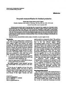 Enzymatic transesterification for biodiesel production