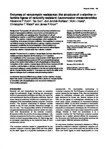 Enzymes of vancomycin resistance