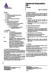 Epidermis Dissociation Kit