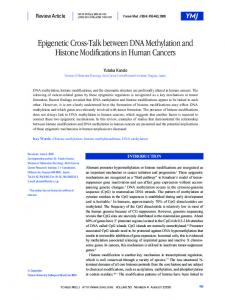 Epigenetic Cross-Talk between DNA Methylation ... - Semantic Scholar
