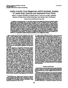 Equine Arteritis Virus Subgenomic mRNA Synthesis: Analysis ... - NCBI