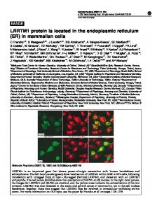 (ER) in mammalian cells - Nature