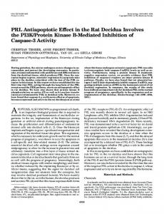 Erratum | Endocrinology | Oxford Academic