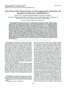 Error-Prone DNA Repair System in Enteroaggregative Escherichia coli